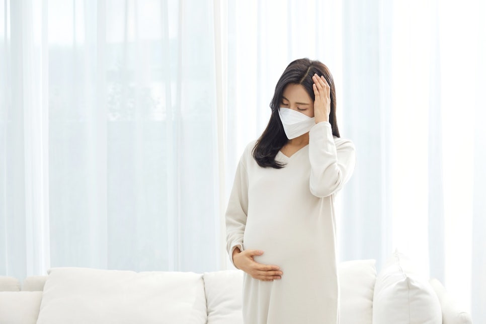 3555416801_UKJvO6Vb_cdd9bcde58903d91a38f350f6836ba44a62bd322.jpg 이미지크게보기