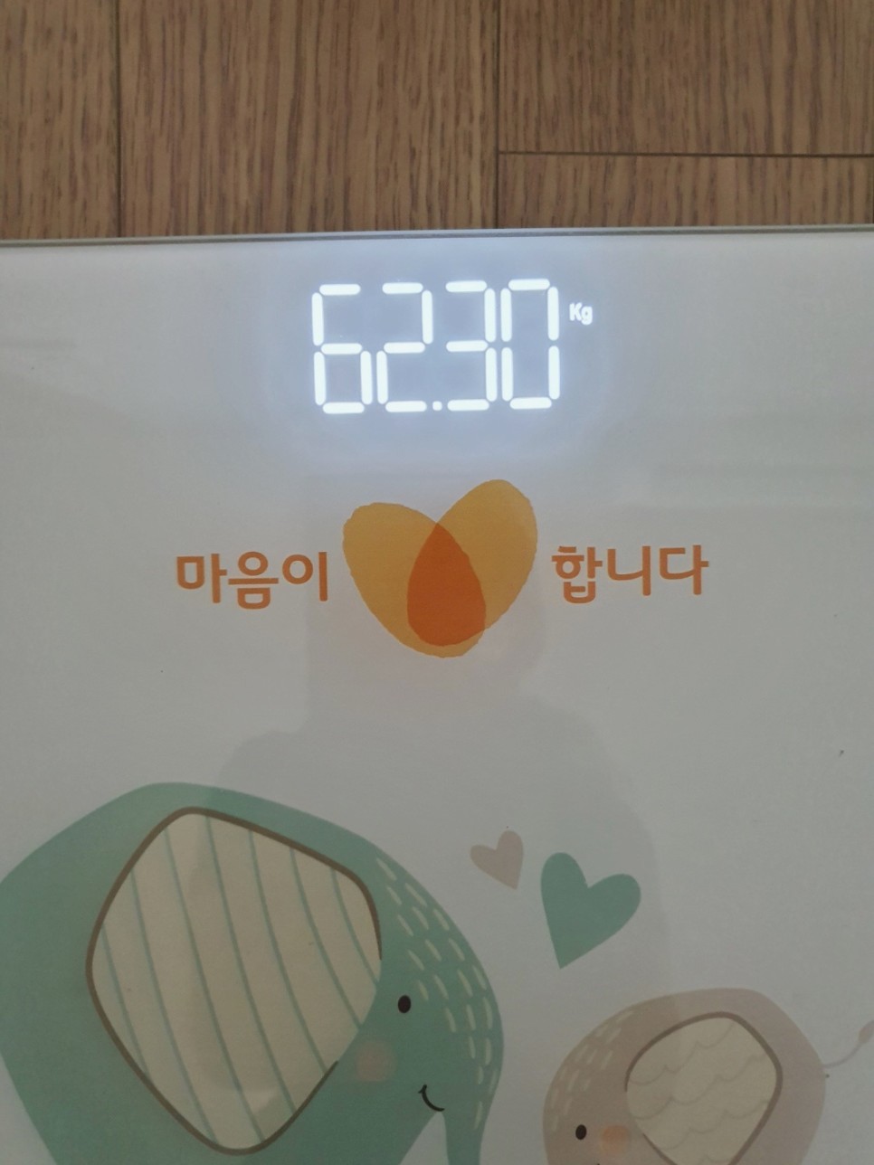 /user/s/saeromom/editor/2309/151d62c717e3affeb7e044a4b5b852d3_1695084395_6582.jpg 이미지크게보기