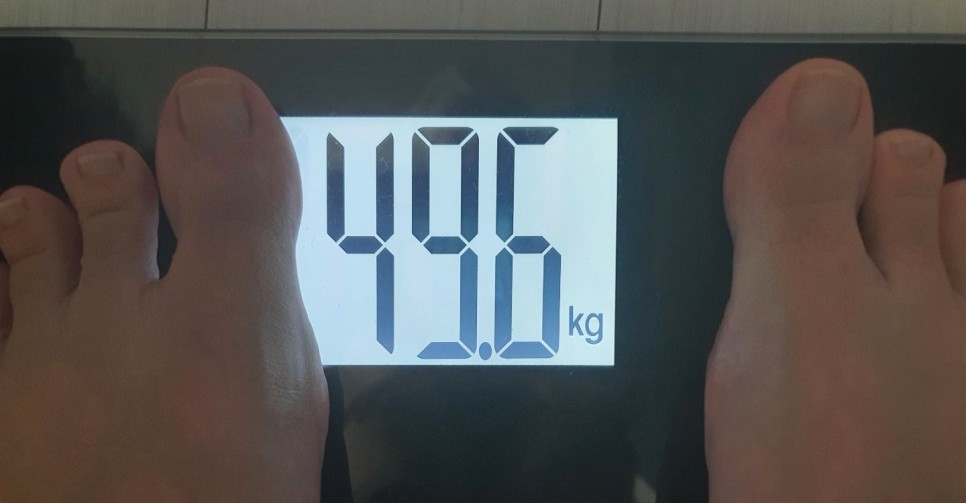 /user/s/saeromom/editor/2309/36d7cecb60ece9f2a41bb5b7d88282ec_1694749320_5657.jpg 이미지크게보기